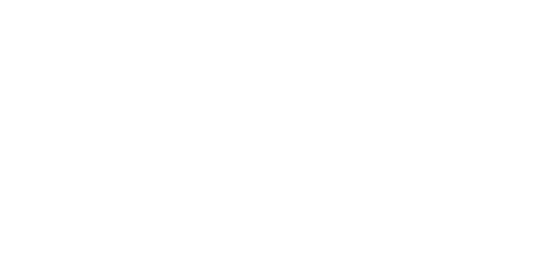 Giro Motion Logo